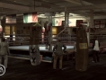 Fight Night Round 3 sur le ring