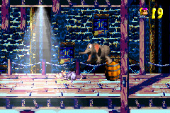 Donkey Kong Country 3 imagé
