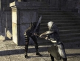 Elveon en 6 images