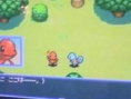 Pokémon  Dungeon Red se dévoile