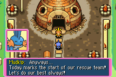 Pokemon Dungeon Red en images