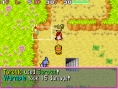 Pokemon Dungeon Red en images