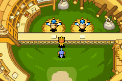 Pokemon Dungeon Red en images