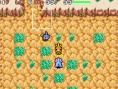 Pokemon Dungeon Red en images