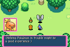 Pokemon Dungeon Red en images
