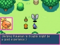 Pokemon Dungeon Red en images