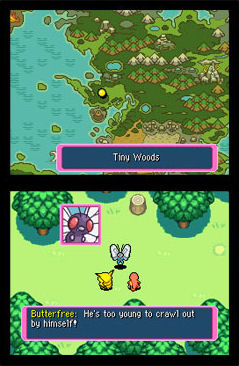 Pokémon Dungeon en images