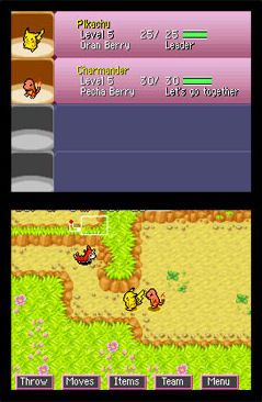 Pokémon Dungeon en images
