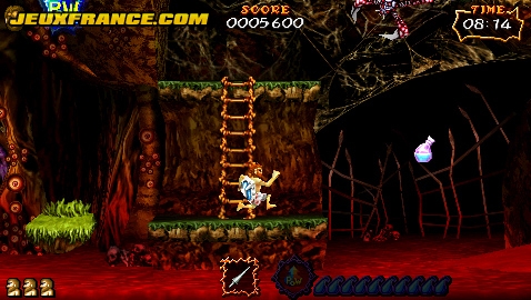 Ultimate Ghosts'N Goblins en images
