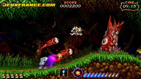 Ultimate Ghosts'N Goblins en images