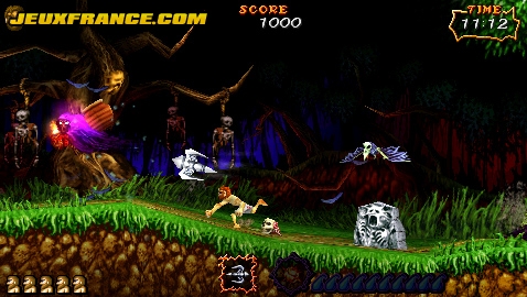 Ultimate Ghosts'N Goblins en images