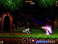 Ultimate Ghosts'N Goblins en images