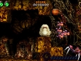 Ultimate Ghosts'N Goblins en images