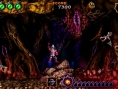 Ultimate Ghosts'N Goblins en images
