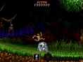 Ultimate Ghosts'N Goblins en images