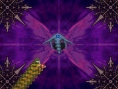 Iron Feather en pleine action