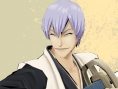 Bleach GC se dévoile sur GameCube