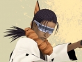 Bleach GC se dévoile sur GameCube