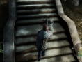 Images Alone in the Dark