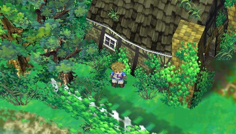 Harvest Moon Innocent Life imagé