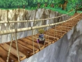 Harvest Moon Innocent Life imagé