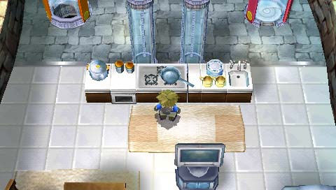 Harvest Moon Innocent Life imagé
