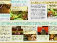 Children of Mana illumine la NDS