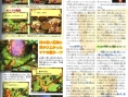 Children of Mana revient en images