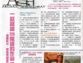 Archaic Sealed Heat : plus d'images