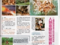 Archaic Sealed Heat : plus d'images