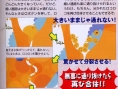LocoRoco : plus d'images