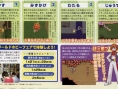 Pokémon Ranger fait le ménage