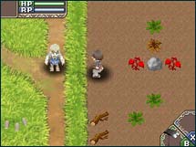 Rune Factory part à l'aventure