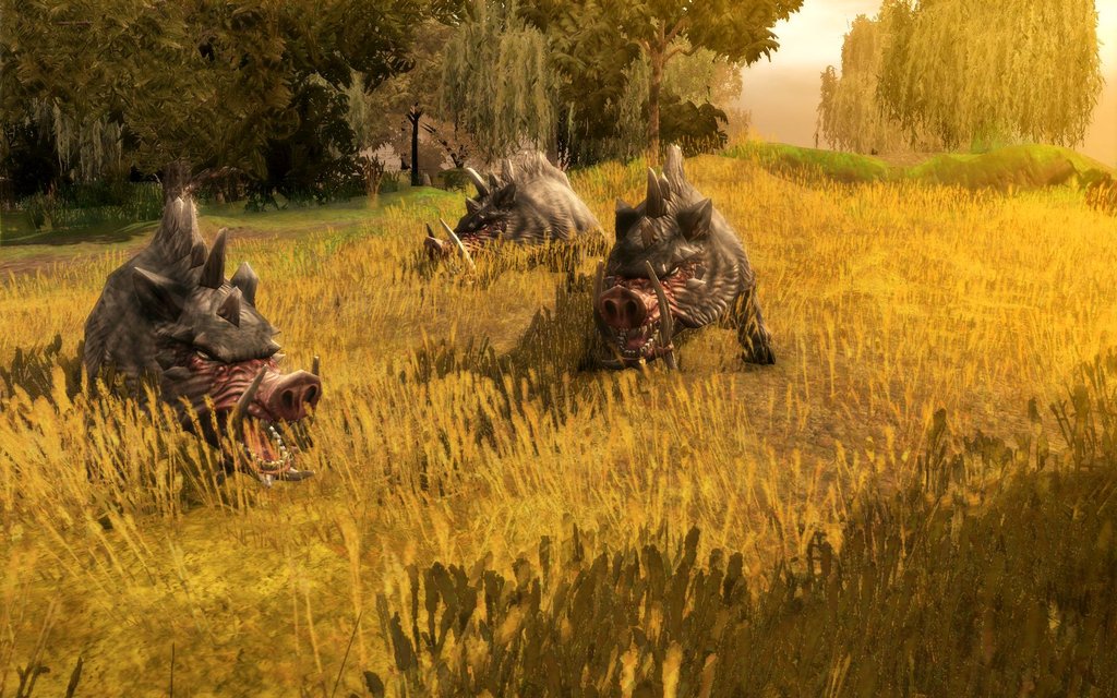 Neverwinter Nights 2 en 20 images