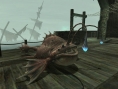 FFXI : l'extension en images