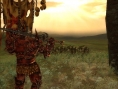 Warhammer en images