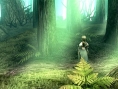 Valkyrie Profile 2, Aruze en images