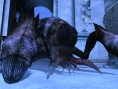Lost Planet se précise