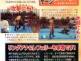 Wrestle Kingdom : plus d'images
