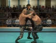 Wrestle Kingdom monte sur le ring