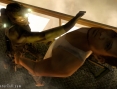 Splinter Cell Essentials en images