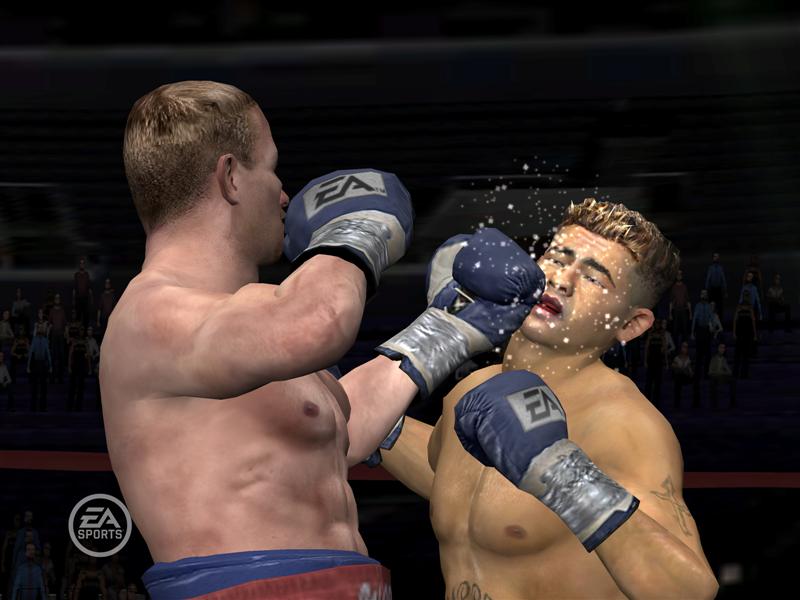 Fight Night Round 3 sur le ring