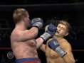 Fight Night Round 3 sur le ring