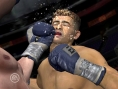 Fight Night Round 3 sur le ring