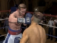 Fight Night Round 3 sur le ring