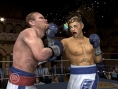 Fight Night Round 3 sur le ring
