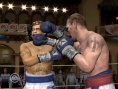 Fight Night Round 3 sur le ring