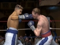 Fight Night Round 3 sur le ring