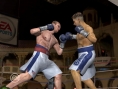 Fight Night Round 3 sur le ring