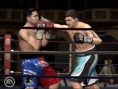 Fight Night Round 3 imagé
